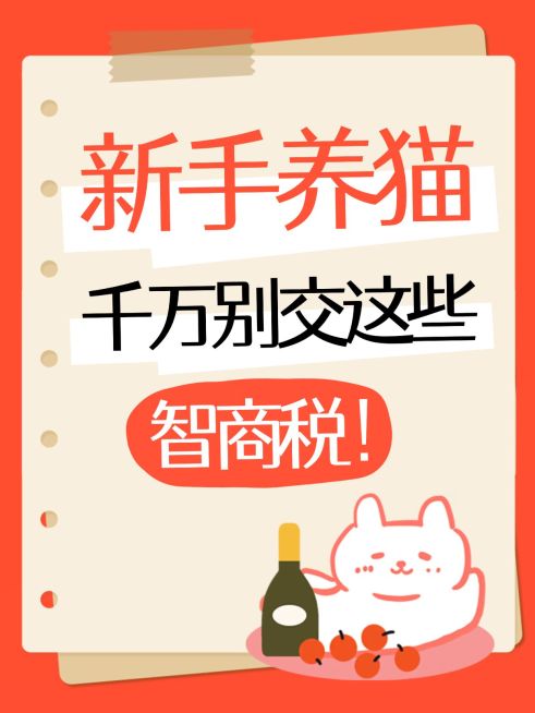 爆款吸睛大字小红书封面预览效果