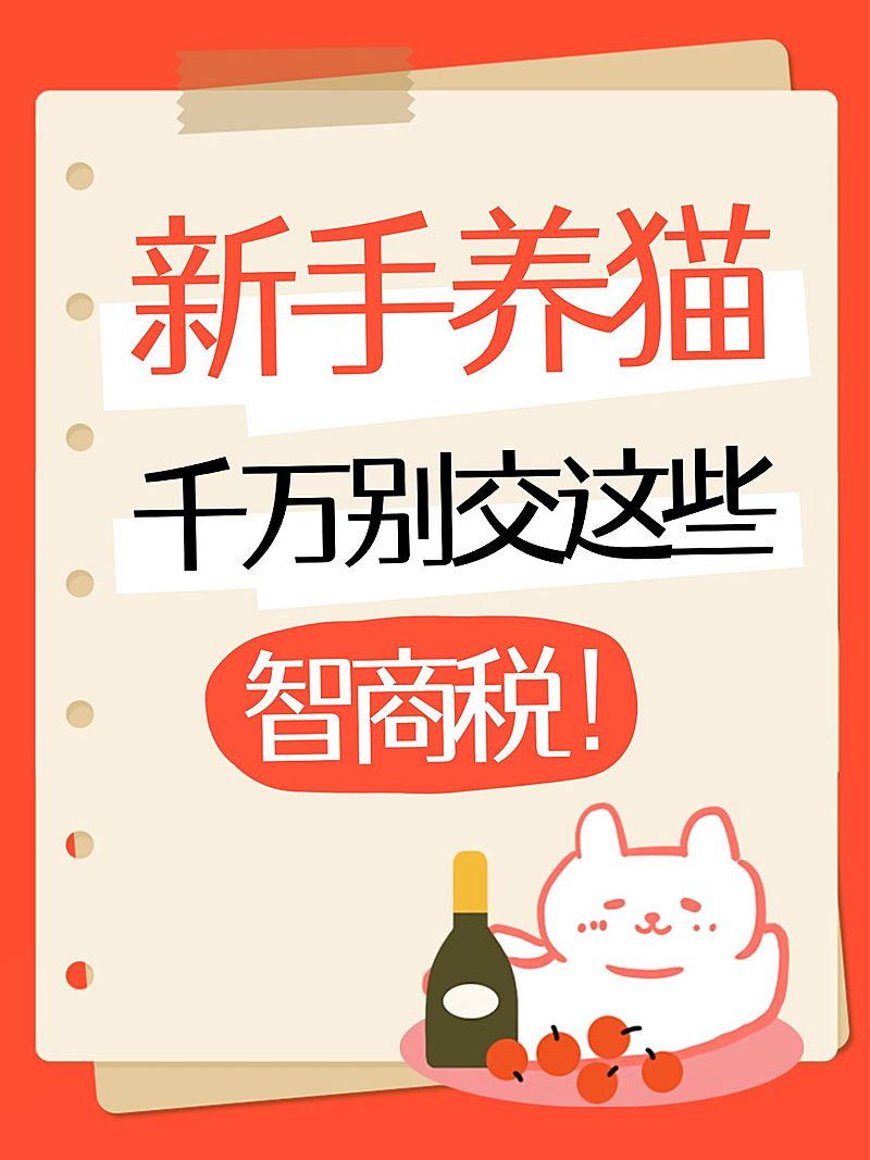 爆款吸睛大字小红书封面