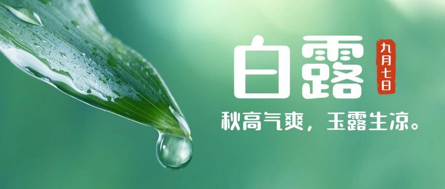 白露节气早安你好祝福公众号首图预览效果