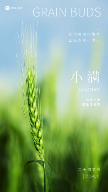 小满节气祝福实景排版手机海报预览效果