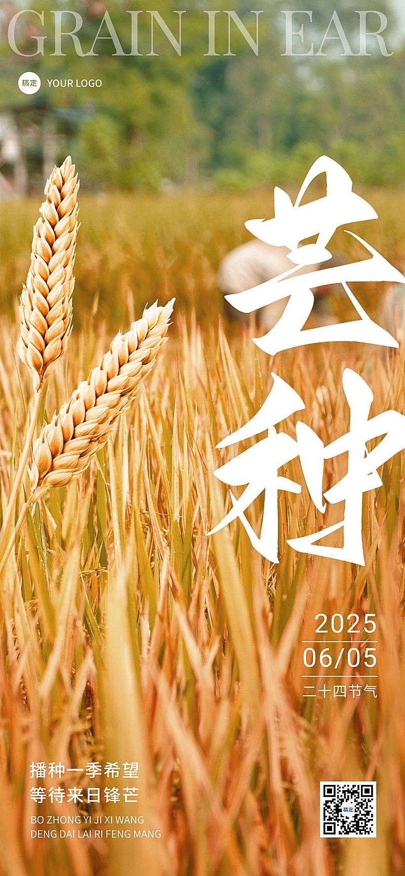 企业芒种节气祝福实景大字全屏竖版海报
