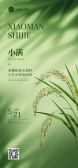 模板缩略图