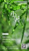模板缩略图