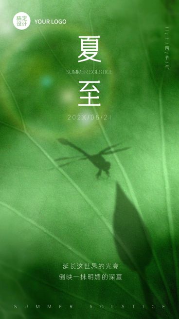夏至实景荷叶影子节气祝福全屏转发预览效果