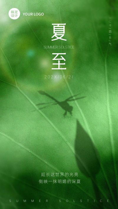 夏至实景荷叶影子节气祝福全屏转发