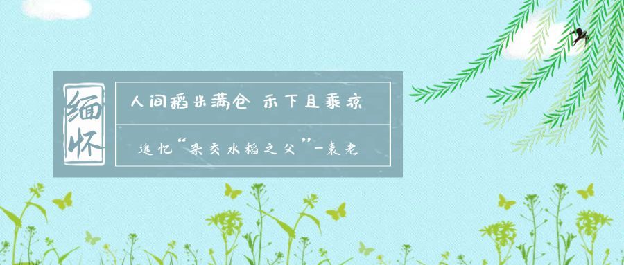耕耘最爱垄头麦公众号首图预览效果