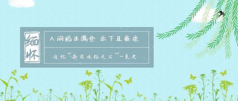 耕耘最爱垄头麦公众号首图