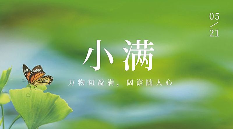 小满节气祝福夏季实景横版海报