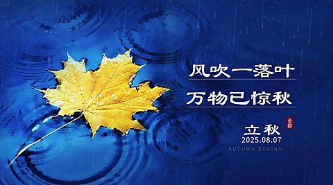 立秋节气祝福问候实景枫叶横版海报
