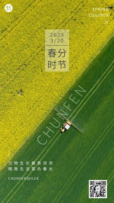 春分节气祝福手机海报预览效果