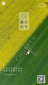 模板缩略图