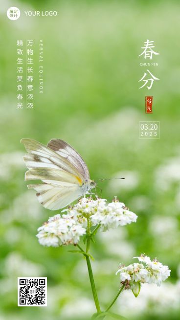 春分节气祝福蝴蝶花朵手机海报预览效果