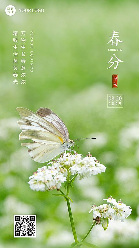 春分节气祝福蝴蝶花朵手机海报