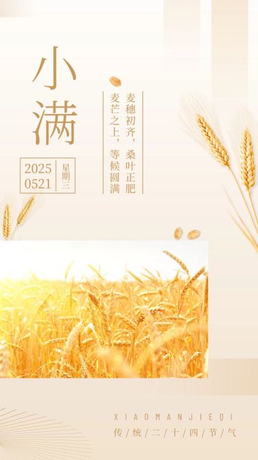 简约小满全屏节气正能量祝福预览效果