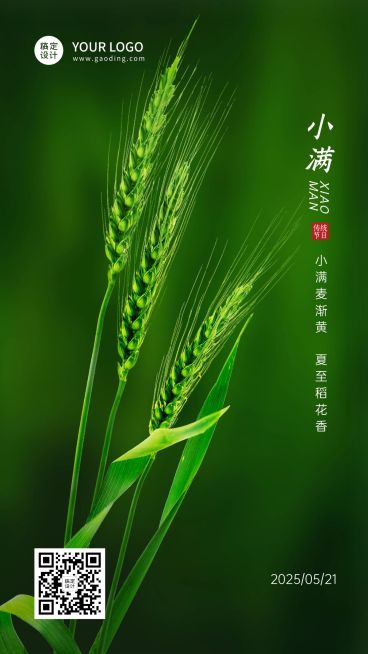 小满节气祝福问候实景手机海报预览效果