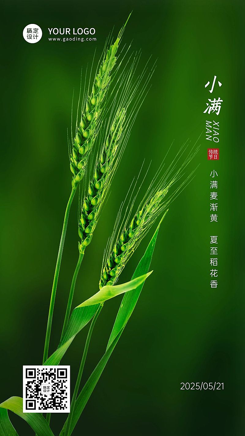 小满节气祝福问候实景手机海报