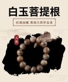 模板缩略图