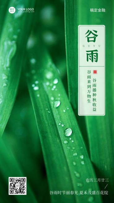 金融保险谷雨节气祝福实景海报预览效果