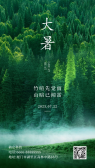 模板缩略图
