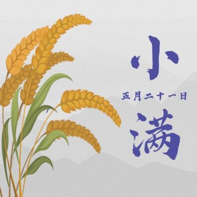 小满节气祝福问候麦穗公众号次图