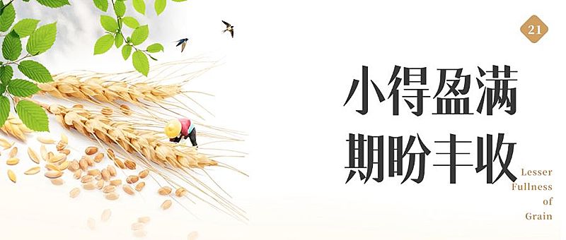 小满节气实景合成公众号首图