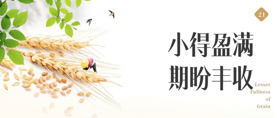 小满节气实景合成公众号首图