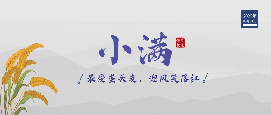 小满节气祝福问候麦穗公众号首图预览效果