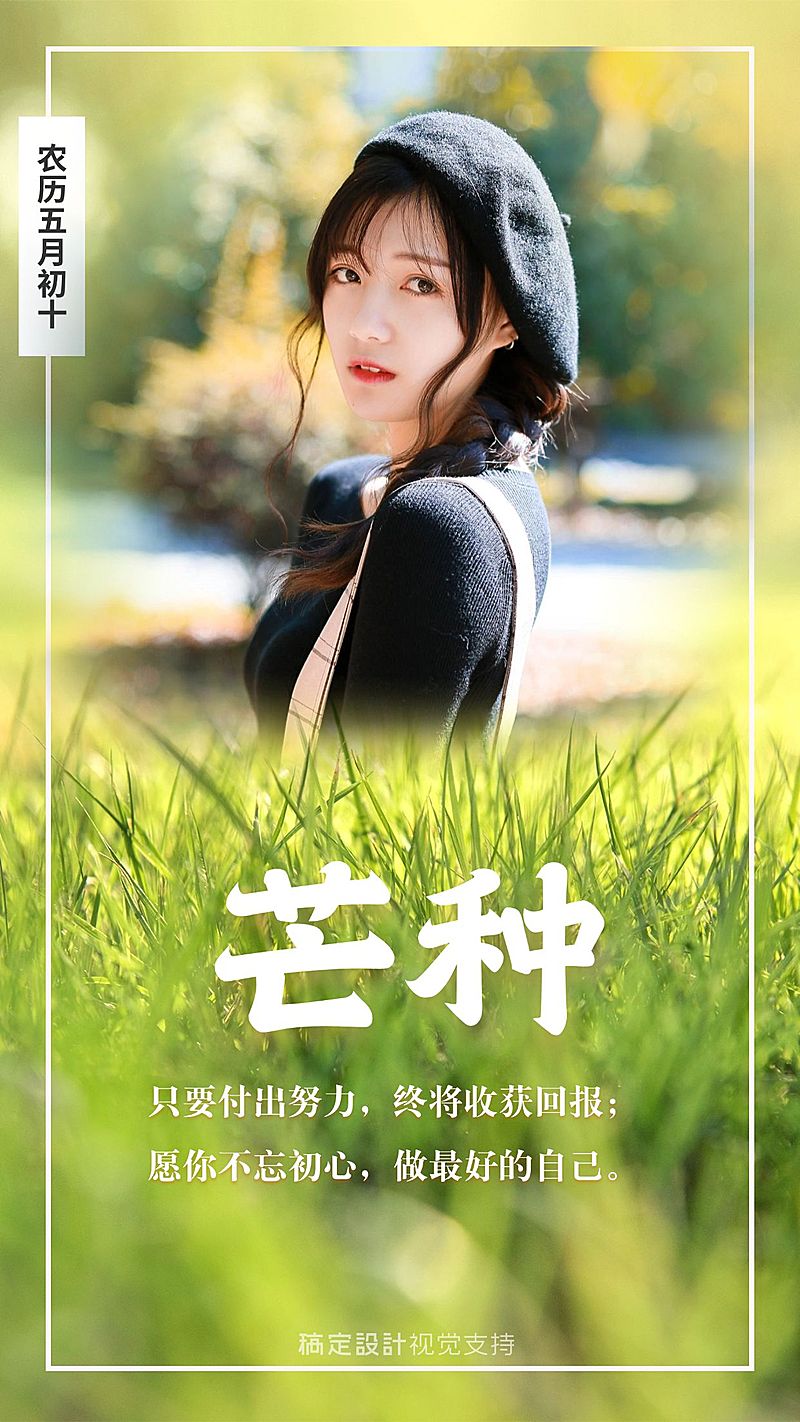 芒种节气融图海报