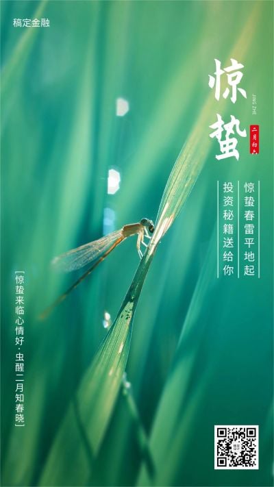 金融保险惊蛰节气祝福实景海报