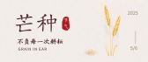 模板缩略图