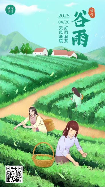 谷雨节气习俗采茶春茶手绘手机海报预览效果