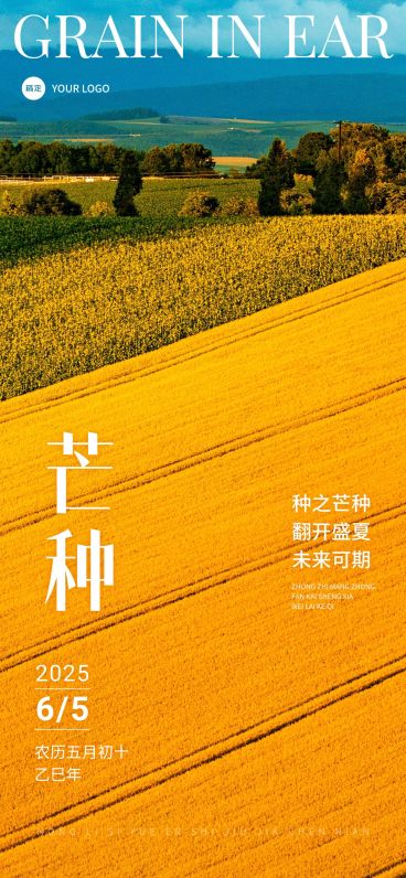 企业芒种节气祝福实景合成全屏竖版海报预览效果