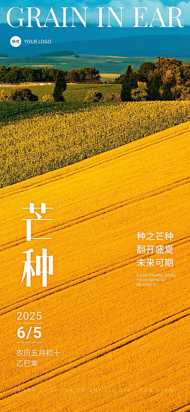 企业芒种节气祝福实景合成全屏竖版海报