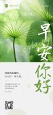 模板缩略图