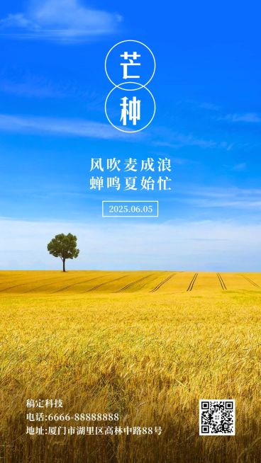芒种节气稻田阳光清新实景手机海报预览效果