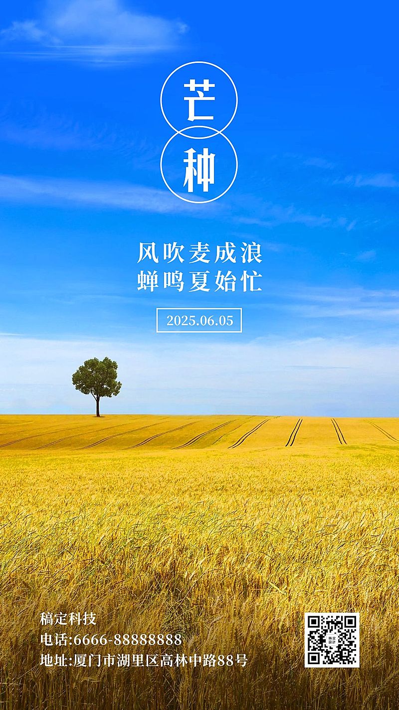 芒种节气稻田阳光清新实景手机海报