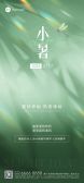 模板缩略图