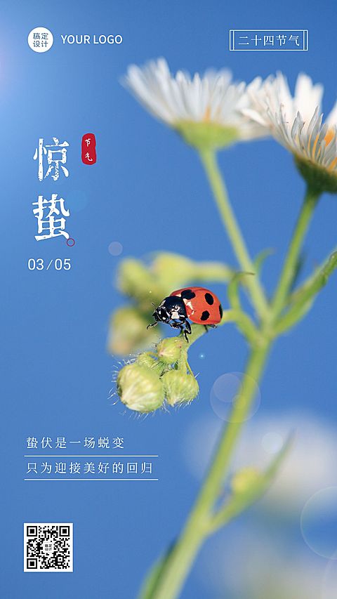 惊蛰节气祝福实景手机海报白色花朵