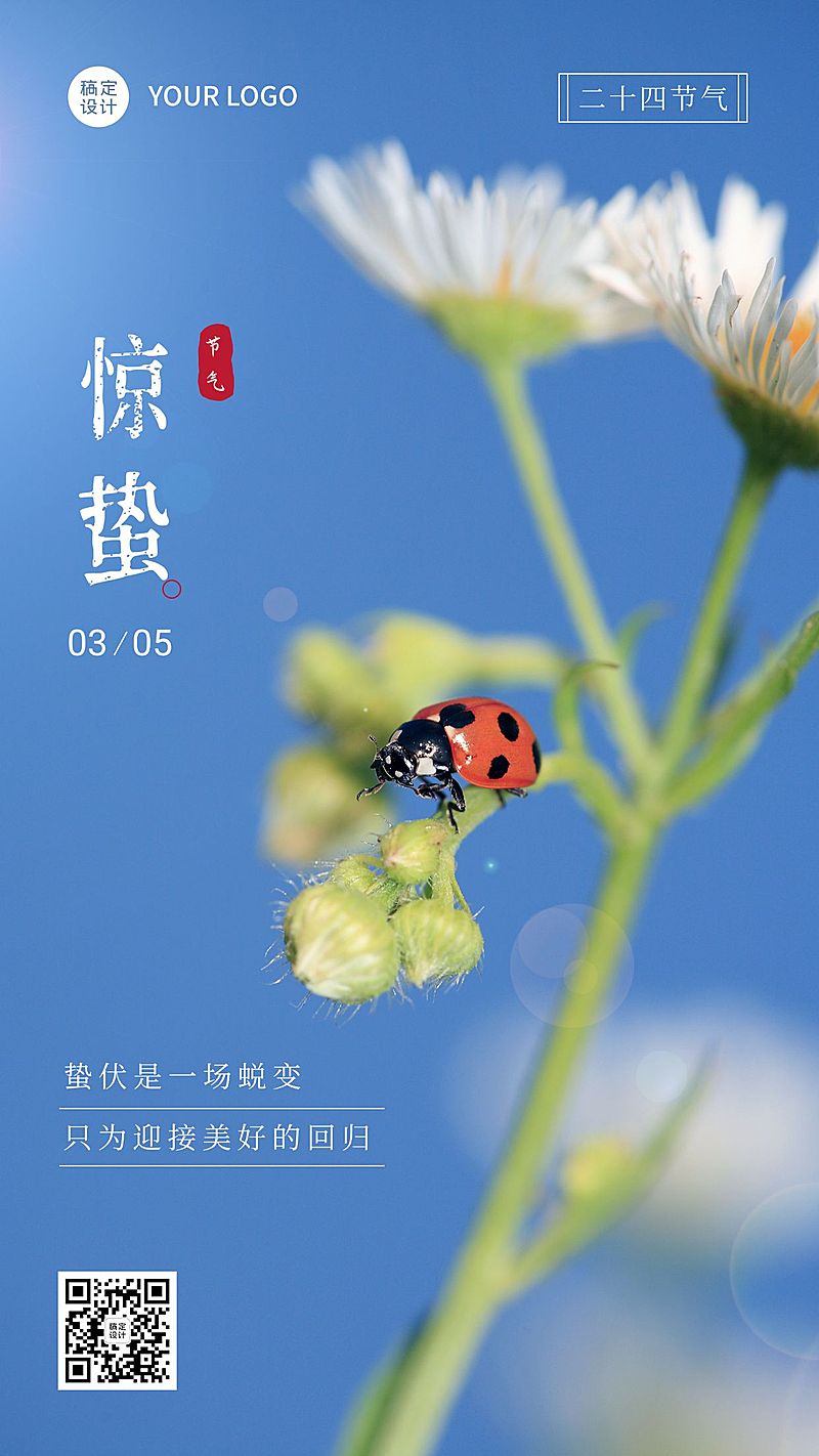 惊蛰节气祝福实景手机海报白色花朵