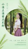 模板缩略图