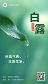 模板缩略图