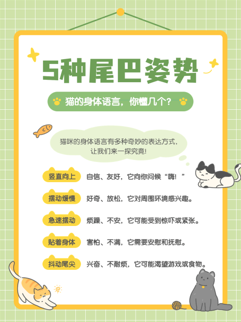 宠物知识科普手帐风下坡小红书套装小红书封面预览效果