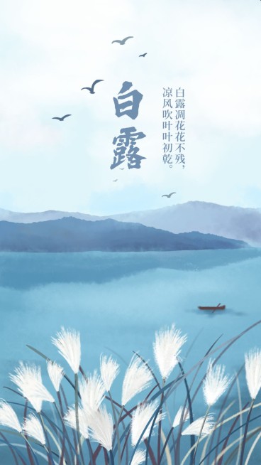 蓝白简约清新白露手机海报预览效果