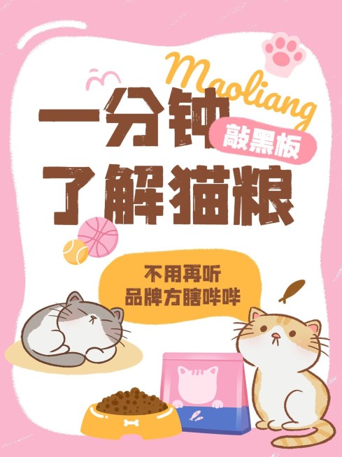宠物猫粮产品知识科普小红书套装小红书封面预览效果