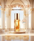 模板缩略图