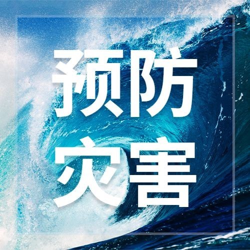 世界海啸日自然灾害科普预防实景公众号次图预览效果
