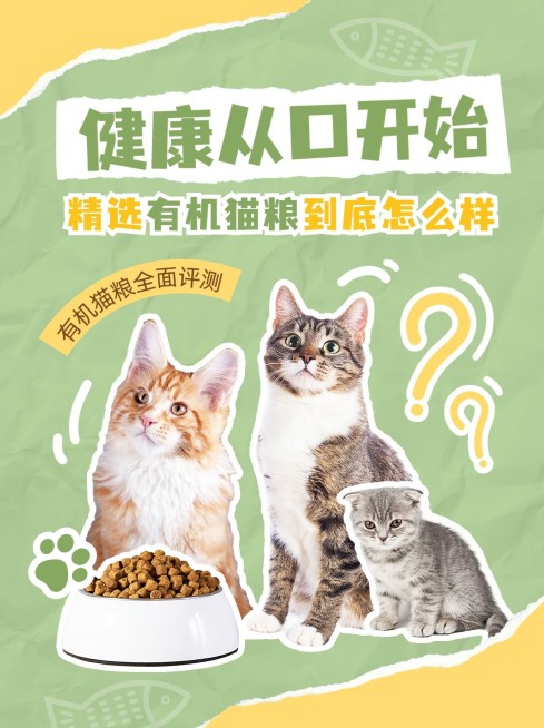 宠物产品测评小红书套装小红书封面预览效果