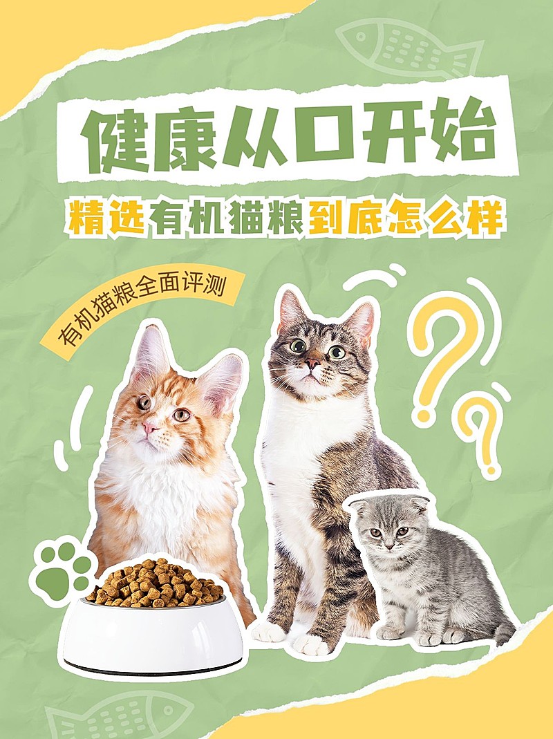 宠物产品测评小红书套装小红书封面