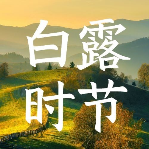 白露节气祝福枫叶实景公众号次图预览效果