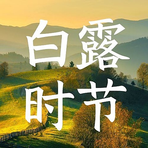 白露节气祝福枫叶实景公众号次图